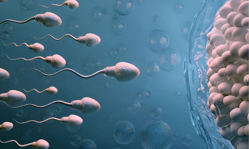 Shairaksha | IVF – In Vitro Fertilization