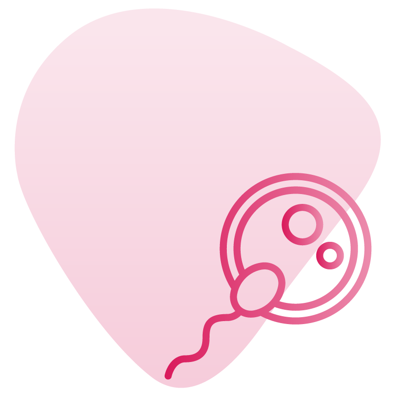 Shairaksha | About us
