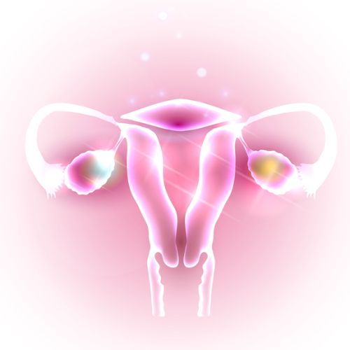 Shairaksha | Fertility care