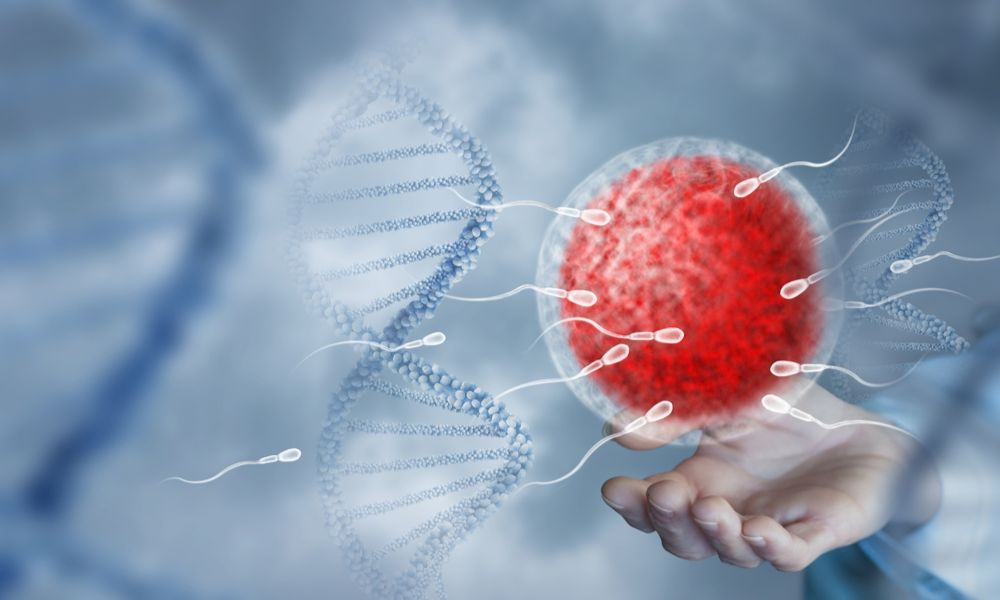 Shairaksha | IUI –Intrauterine Insemination.