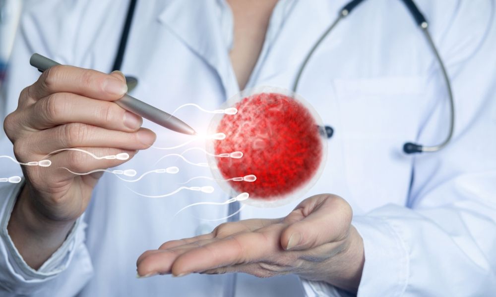 Shairaksha | Follicular Study