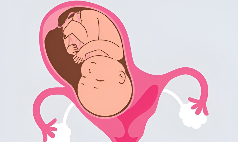 Shairaksha | Hysteroscopic Procedures