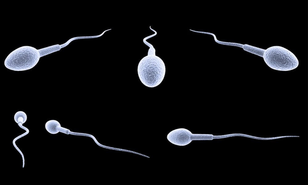 Shairaksha | Semen Analysis