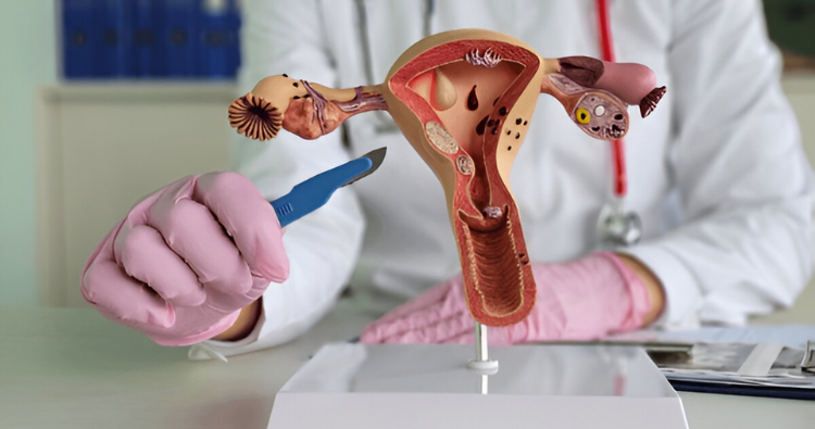 Shairaksha | Top Reasons to Visit Uterine Health Specialists