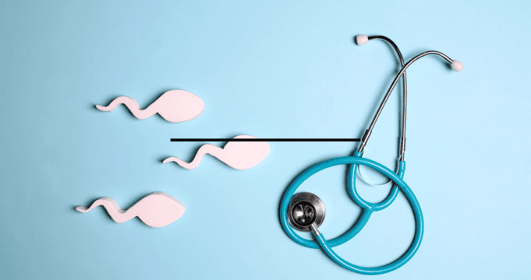 Shairaksha | What Are The Different Types of Fertility Treatments?